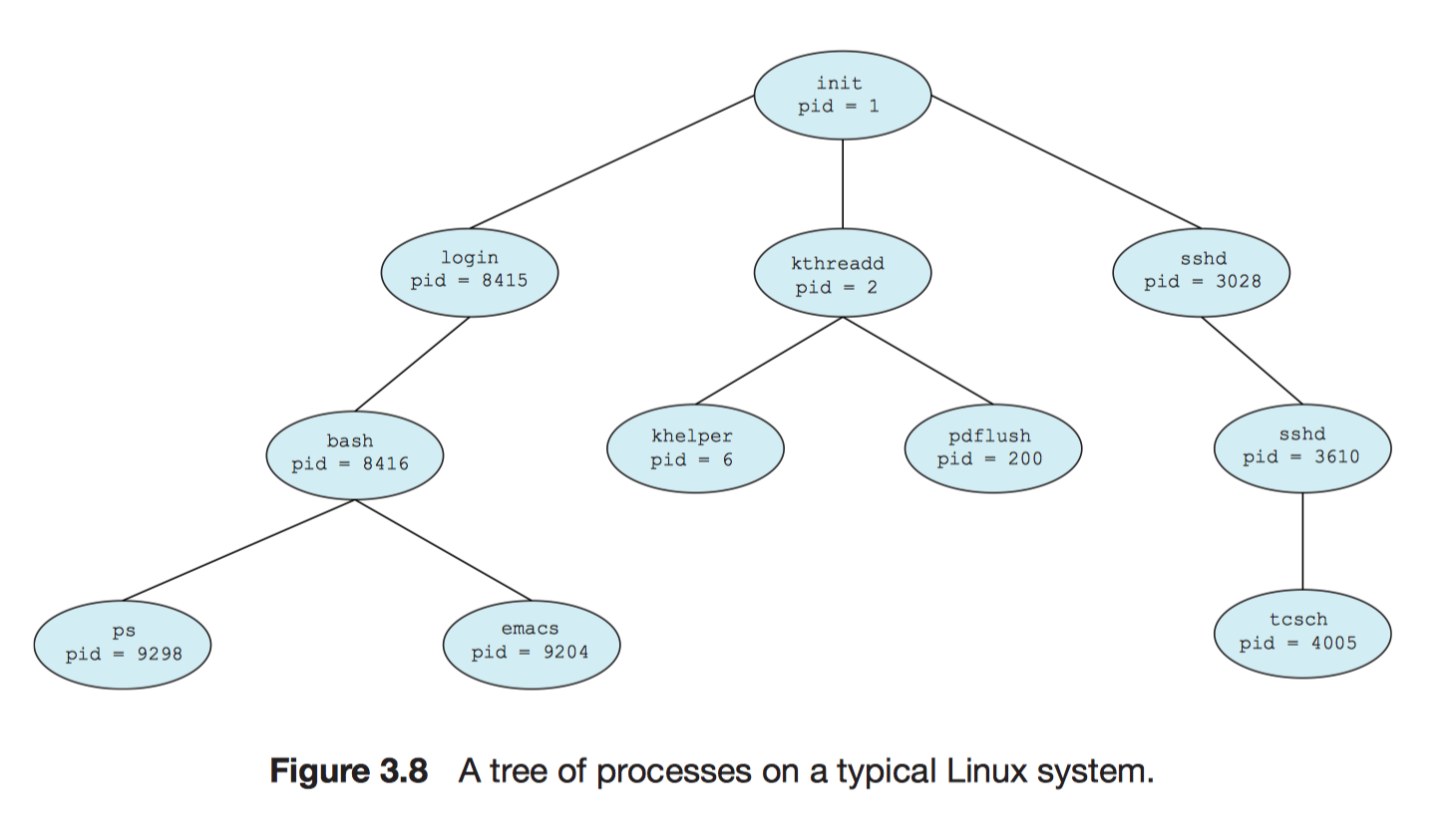 Дерево процессов. Иерархия процессов Linux. Процессы в Linux. Дерево процессов ОС. Init process